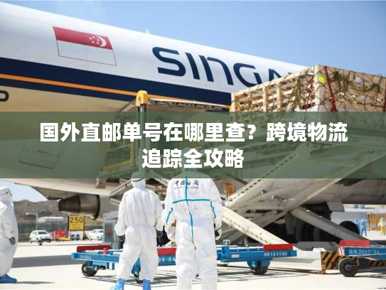 国外直邮单号在哪里查？跨境物流追踪全攻略