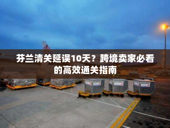 芬兰清关延误10天?跨境卖家必看的高效通关指南 芬兰清关延误10天?跨境卖家必看的高效通关指南