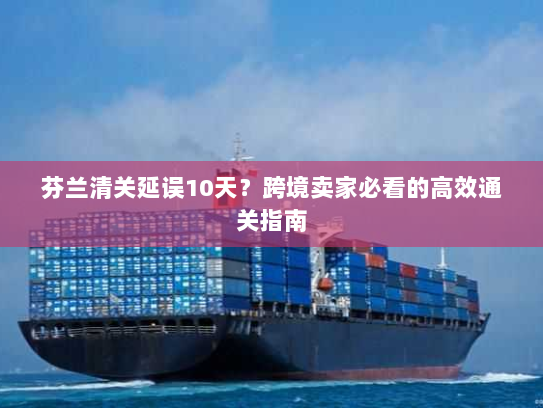 芬兰清关延误10天？跨境卖家必看的高效通关指南