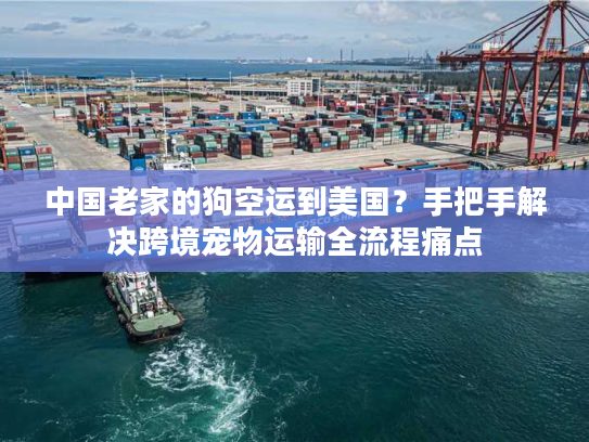 中国老家的狗空运到美国？手把手解决跨境宠物运输全流程痛点
