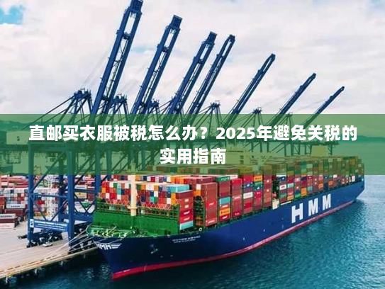 直邮买衣服被税怎么办?2025年避免关税的实用指南 直邮买衣服被税怎么办?2025年避免关税的实用指南