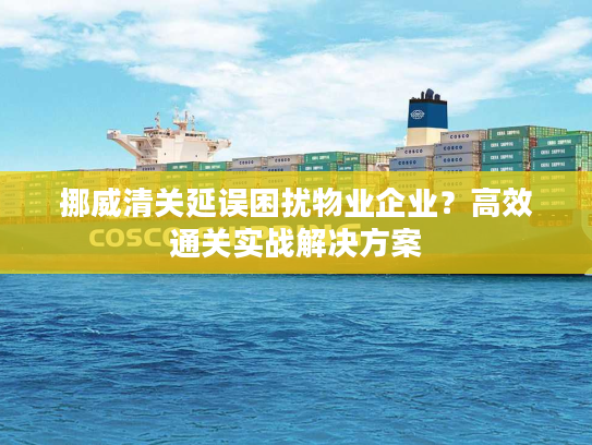 挪威清关延误困扰物业企业？高效通关实战解决方案