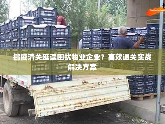 挪威清关延误困扰物业企业?高效通关实战解决方案 挪威清关延误困扰物业企业?高效通关实战解决方案