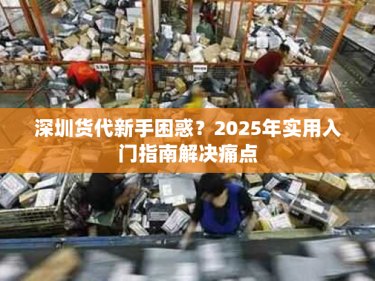 深圳货代新手困惑？2025年实用入门指南解决痛点