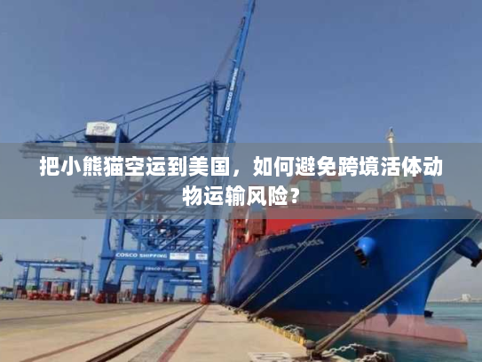 把小熊猫空运到美国,如何避免跨境活体动物运输风险? 把小熊猫空运到美国,如何避免跨境活体动物运输风险?