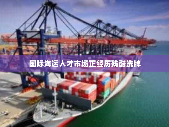 国际海运人才市场正经历残酷洗牌 国际海运人才市场正经历残酷洗牌