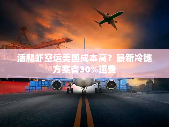 活爬虾空运美国成本高？最新冷链方案省30%运费