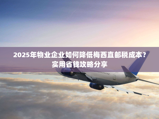 2025年物业企业如何降低梅西直邮税成本?实用省钱攻略分享 2025年物业企业如何降低梅西直邮税成本?实用省钱攻略分享