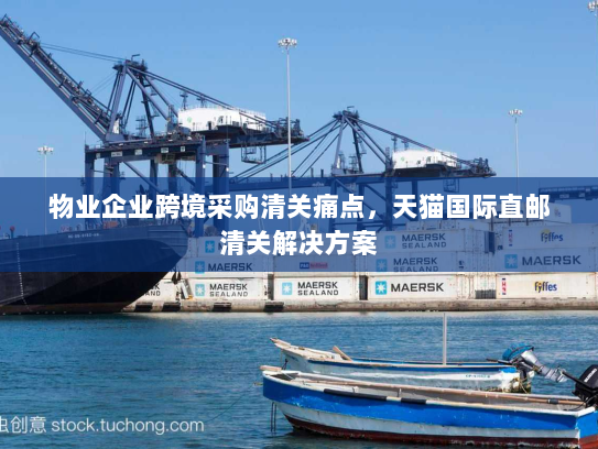 物业企业跨境采购清关痛点，天猫国际直邮清关解决方案