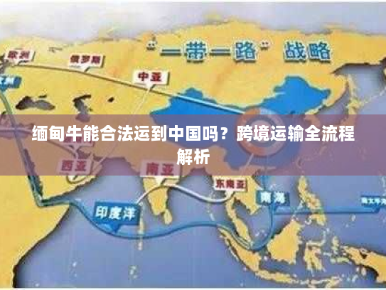 缅甸牛能合法运到中国吗？跨境运输全流程解析