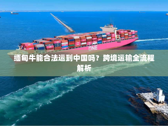 缅甸牛能合法运到中国吗？跨境运输全流程解析