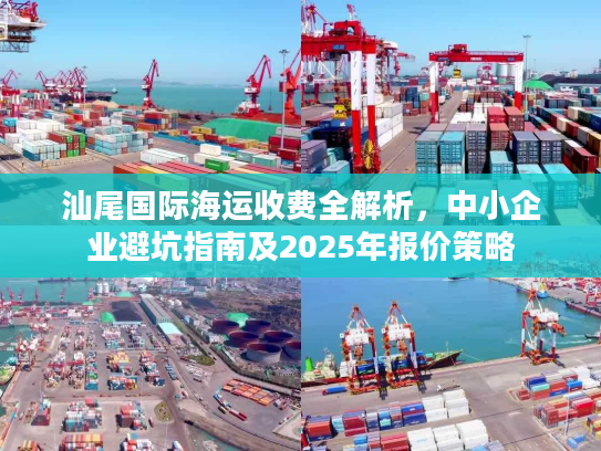 汕尾国际海运收费全解析，中小企业避坑指南及2025年报价策略