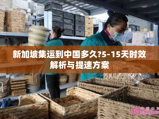 新加坡集运到中国多久?5-15天时效解析与提速方案