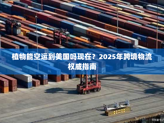植物能空运到美国吗现在？2025年跨境物流权威指南