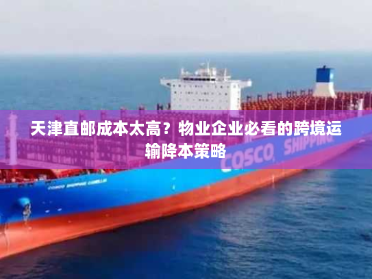 天津直邮成本太高？物业企业必看的跨境运输降本策略