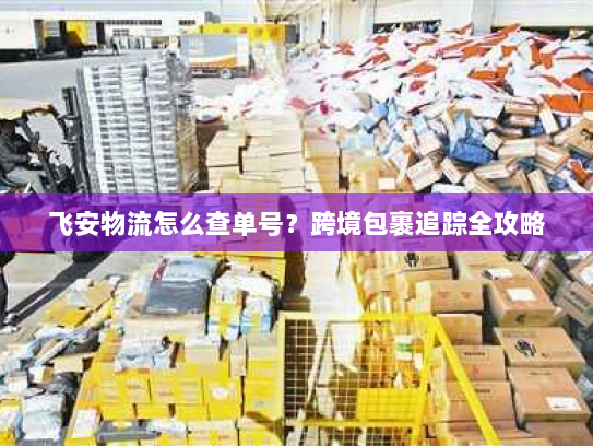 飞安物流怎么查单号？跨境包裹追踪全攻略