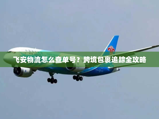 飞安物流怎么查单号?跨境包裹追踪全攻略 飞安物流怎么查单号?跨境包裹追踪全攻略