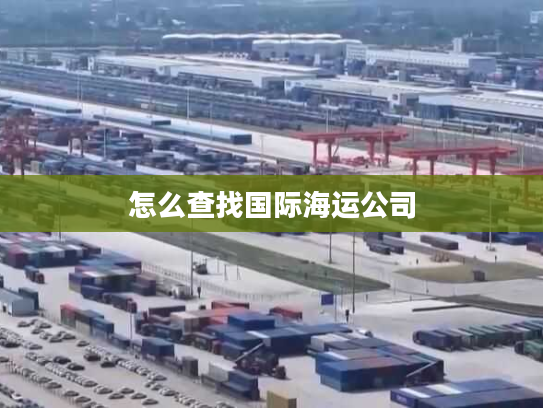 怎么查找国际海运公司
