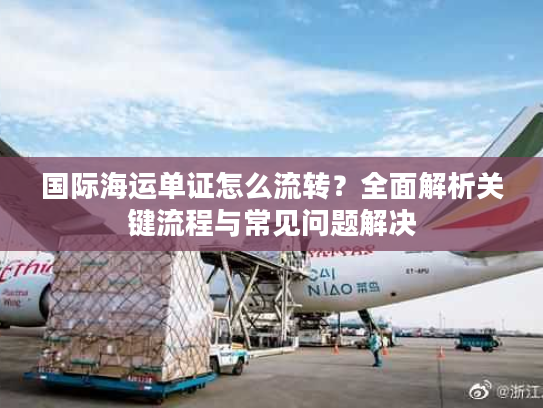 国际海运单证怎么流转?全面解析关键流程与常见问题解决 国际海运单证怎么流转?全面解析关键流程与常见问题解决
