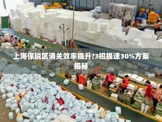 上海保税区清关效率提升?3招提速30%方案揭秘