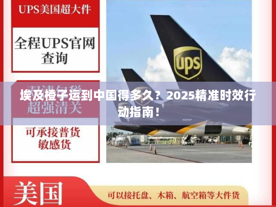 埃及橙子运到中国得多久?2025精准时效行动指南! 埃及橙子运到中国得多久?2025精准时效行动指南!