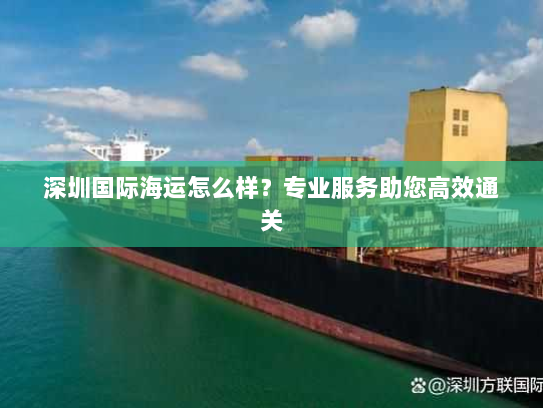 深圳国际海运怎么样?专业服务助您高效通关 深圳国际海运怎么样?专业服务助您高效通关