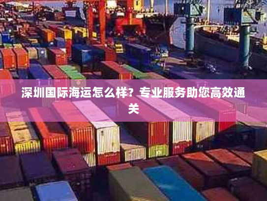 深圳国际海运怎么样?专业服务助您高效通关 深圳国际海运怎么样?专业服务助您高效通关