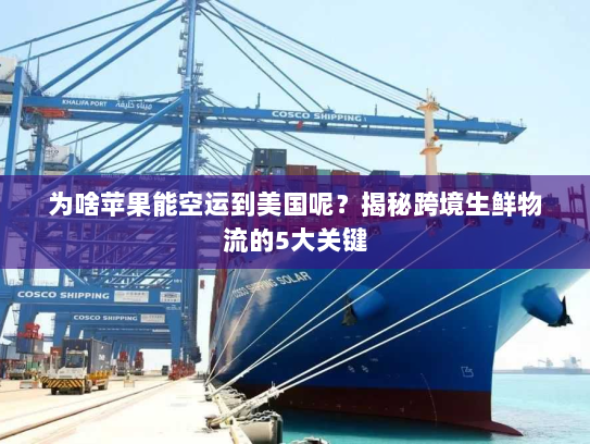 为啥苹果能空运到美国呢?揭秘跨境生鲜物流的5大关键 为啥苹果能空运到美国呢?揭秘跨境生鲜物流的5大关键