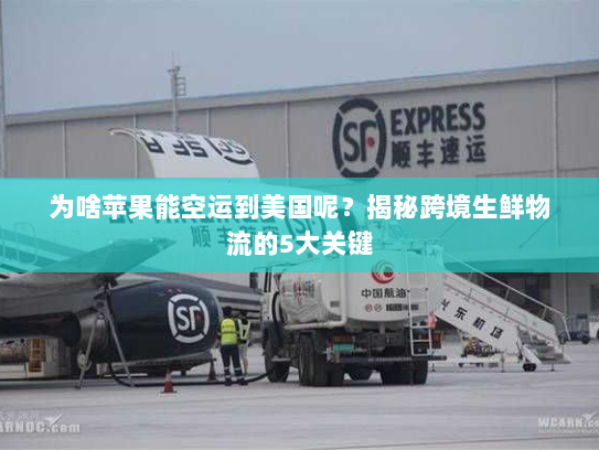 为啥苹果能空运到美国呢?揭秘跨境生鲜物流的5大关键 为啥苹果能空运到美国呢?揭秘跨境生鲜物流的5大关键