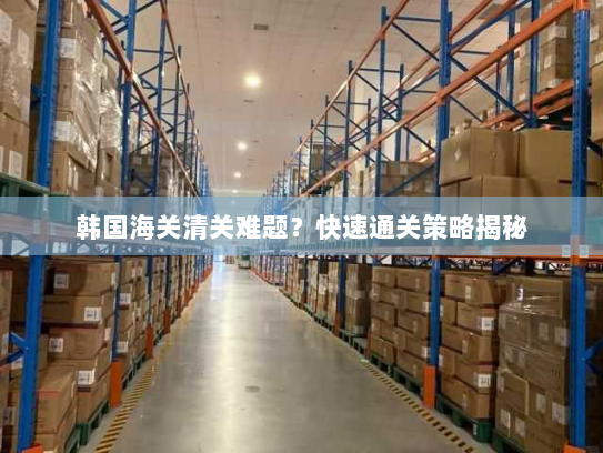 韩国海关清关难题?快速通关策略揭秘 韩国海关清关难题?快速通关策略揭秘