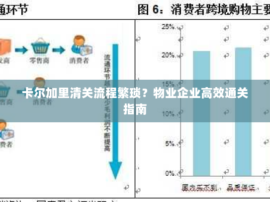 卡尔加里清关流程繁琐？物业企业高效通关指南