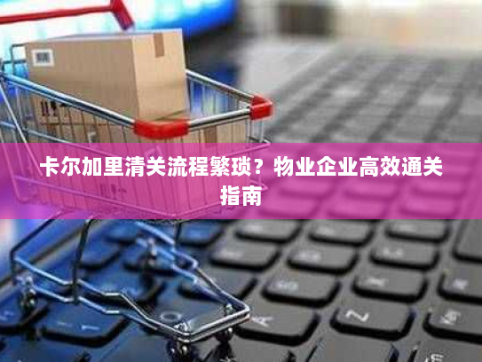 卡尔加里清关流程繁琐？物业企业高效通关指南