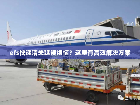 efs快递清关延误烦恼？这里有高效解决方案