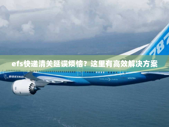 efs快递清关延误烦恼?这里有高效解决方案 efs快递清关延误烦恼?这里有高效解决方案