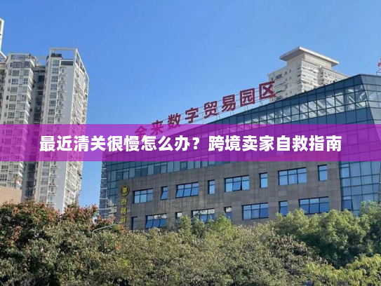 最近清关很慢怎么办？跨境卖家自救指南