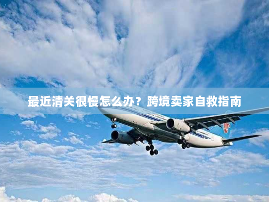 最近清关很慢怎么办？跨境卖家自救指南