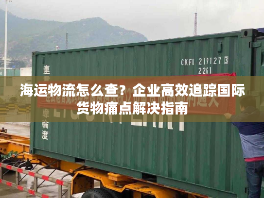 海运物流怎么查?企业高效追踪国际货物痛点解决指南 海运物流怎么查?企业高效追踪国际货物痛点解决指南