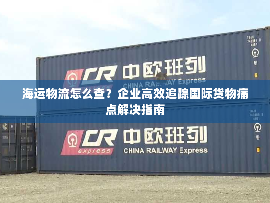 海运物流怎么查?企业高效追踪国际货物痛点解决指南 海运物流怎么查?企业高效追踪国际货物痛点解决指南