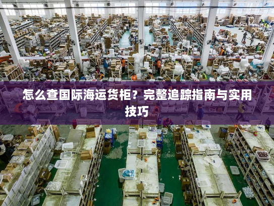 怎么查国际海运货柜？完整追踪指南与实用技巧