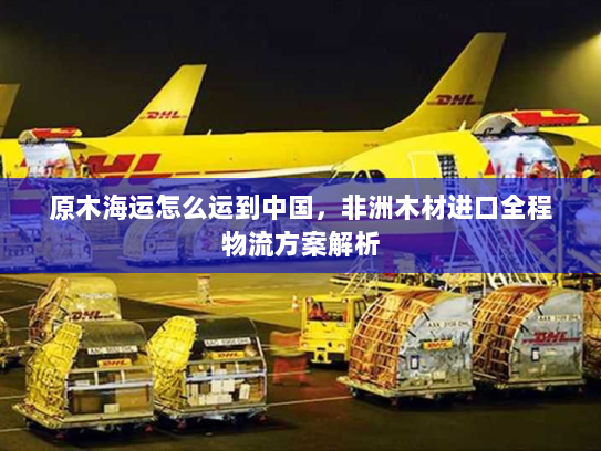 原木海运怎么运到中国，非洲木材进口全程物流方案解析