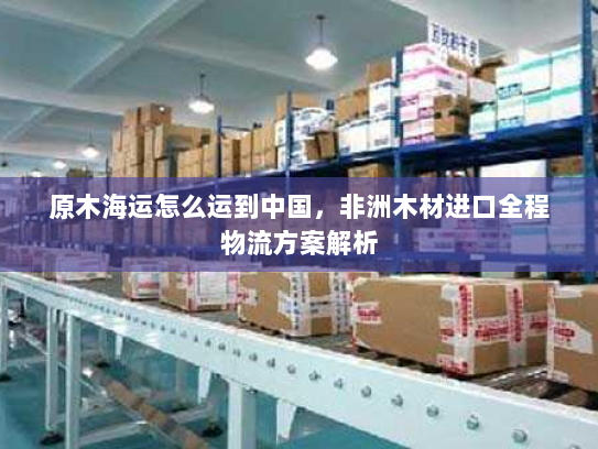 原木海运怎么运到中国，非洲木材进口全程物流方案解析