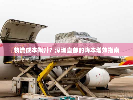 物流成本飙升?深圳直邮的降本增效指南 物流成本飙升?深圳直邮的降本增效指南