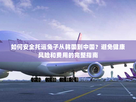 如何安全托运兔子从韩国到中国？避免健康风险和费用的完整指南