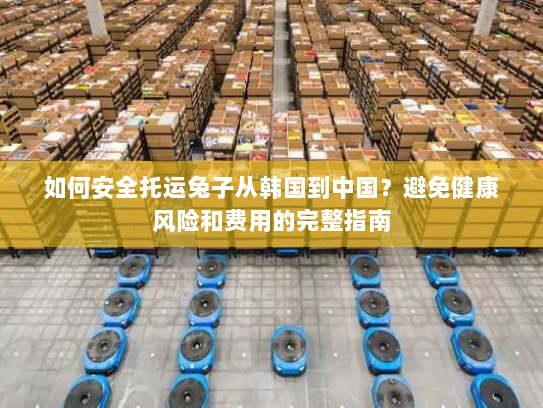 如何安全托运兔子从韩国到中国?避免健康风险和费用的完整指南 如何安全托运兔子从韩国到中国?避免健康风险和费用的完整指南