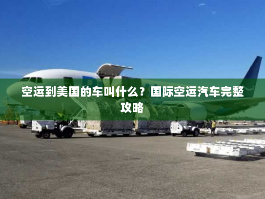 空运到美国的车叫什么?国际空运汽车完整攻略 空运到美国的车叫什么?国际空运汽车完整攻略