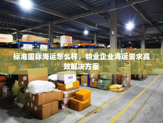 标准国际海运怎么样，物业企业海运需求高效解决方案