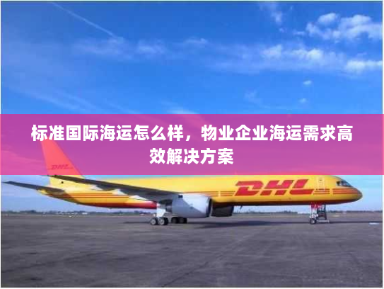 标准国际海运怎么样，物业企业海运需求高效解决方案