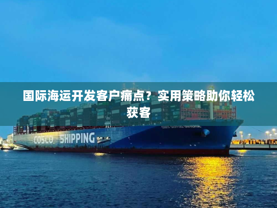 国际海运开发客户痛点?实用策略助你轻松获客 国际海运开发客户痛点?实用策略助你轻松获客