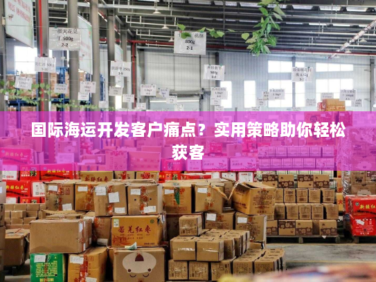 国际海运开发客户痛点?实用策略助你轻松获客 国际海运开发客户痛点?实用策略助你轻松获客