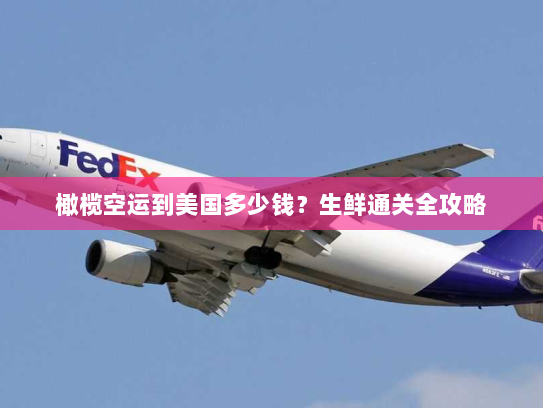 橄榄空运到美国多少钱?生鲜通关全攻略 橄榄空运到美国多少钱?生鲜通关全攻略